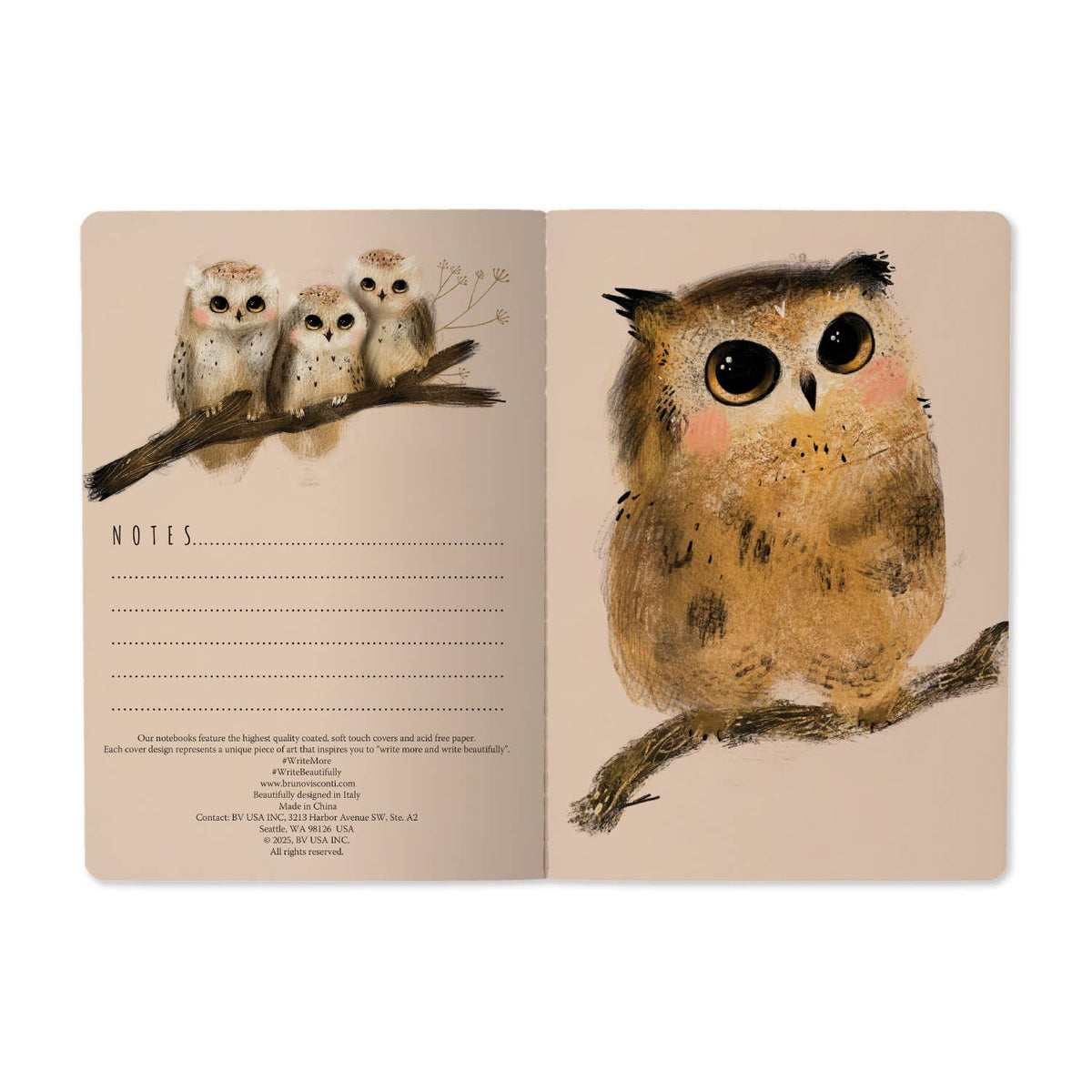 Notebook; Owlets (A5) | BV by Bruno Visconti