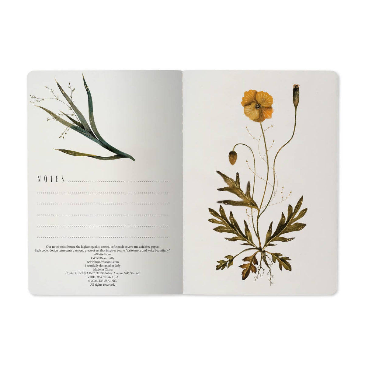 Notebook; Violets and Greens (A5) | BV by Bruno Visconti