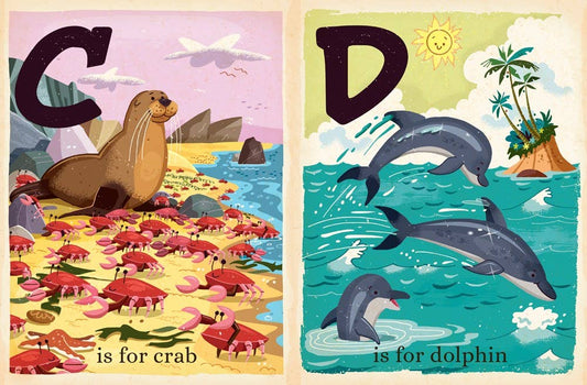 Alphabet Board Book; O is for Ocean