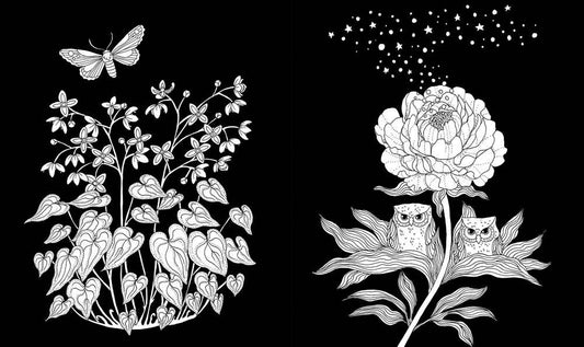 Mature Coloring Book; Nightfall