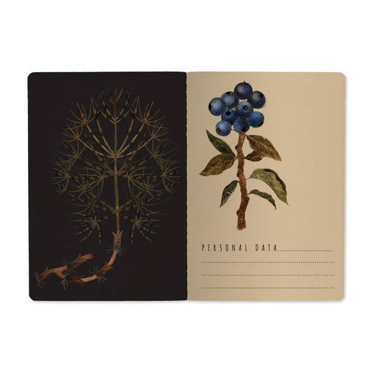 Notebook; Forest Berries (Size A5)
