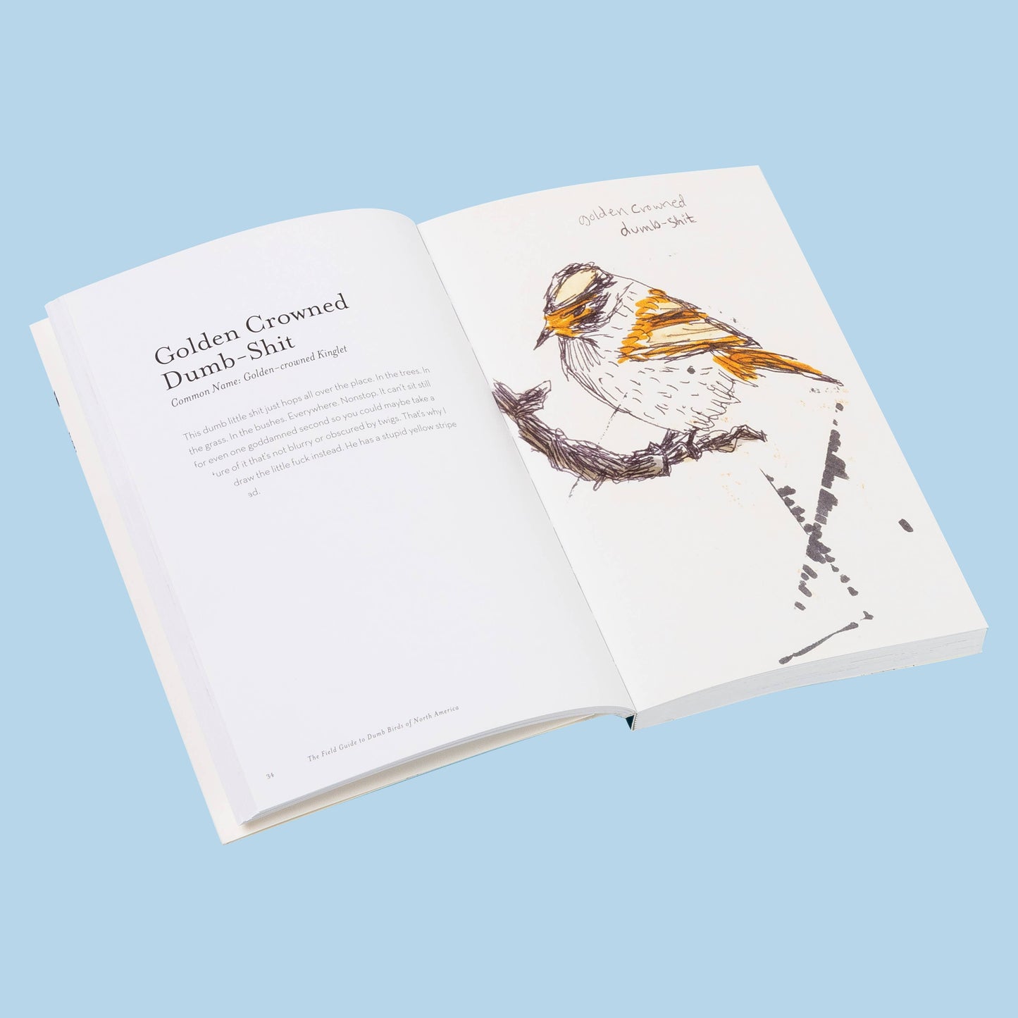 Book; The Field Guide to Dumb Birds of America