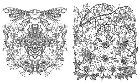 Mature Coloring Book; Daydreams (Adult & Teen Coloring Book)