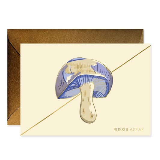 Stationery Boxed Set; Periwinkle Mushroom (6 Cards + Envelopes)