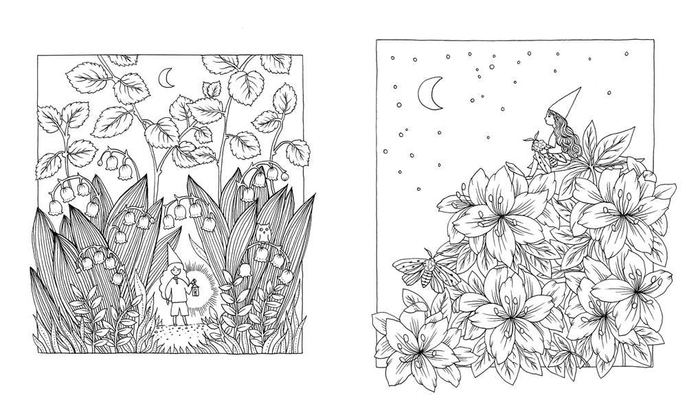 Coloring Book; Botanicum