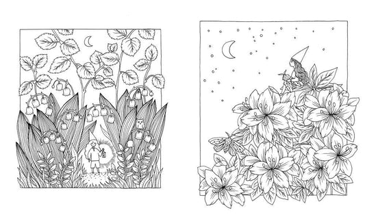 Coloring Book; Botanicum