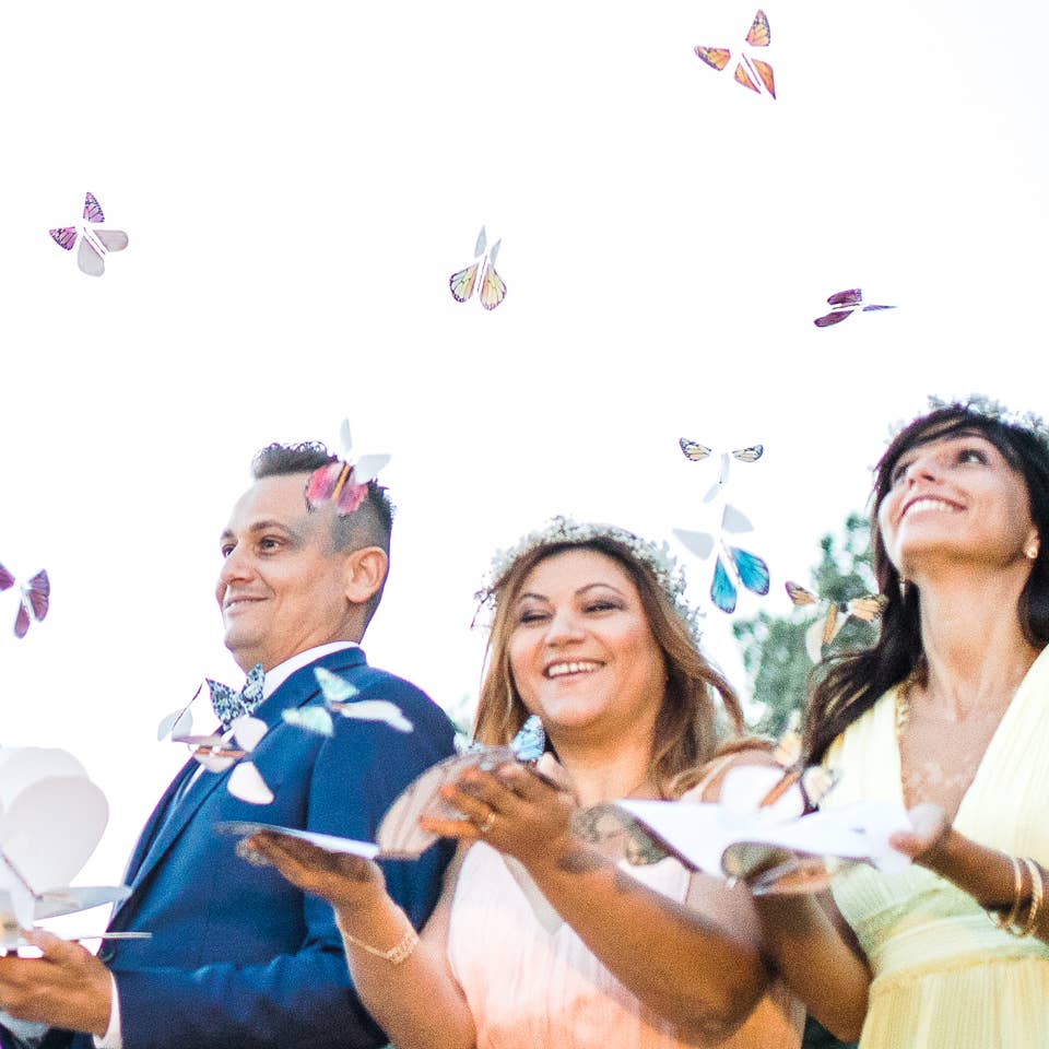 Flying Magic Butterfly®; Rainbow | TOPS Malibu
