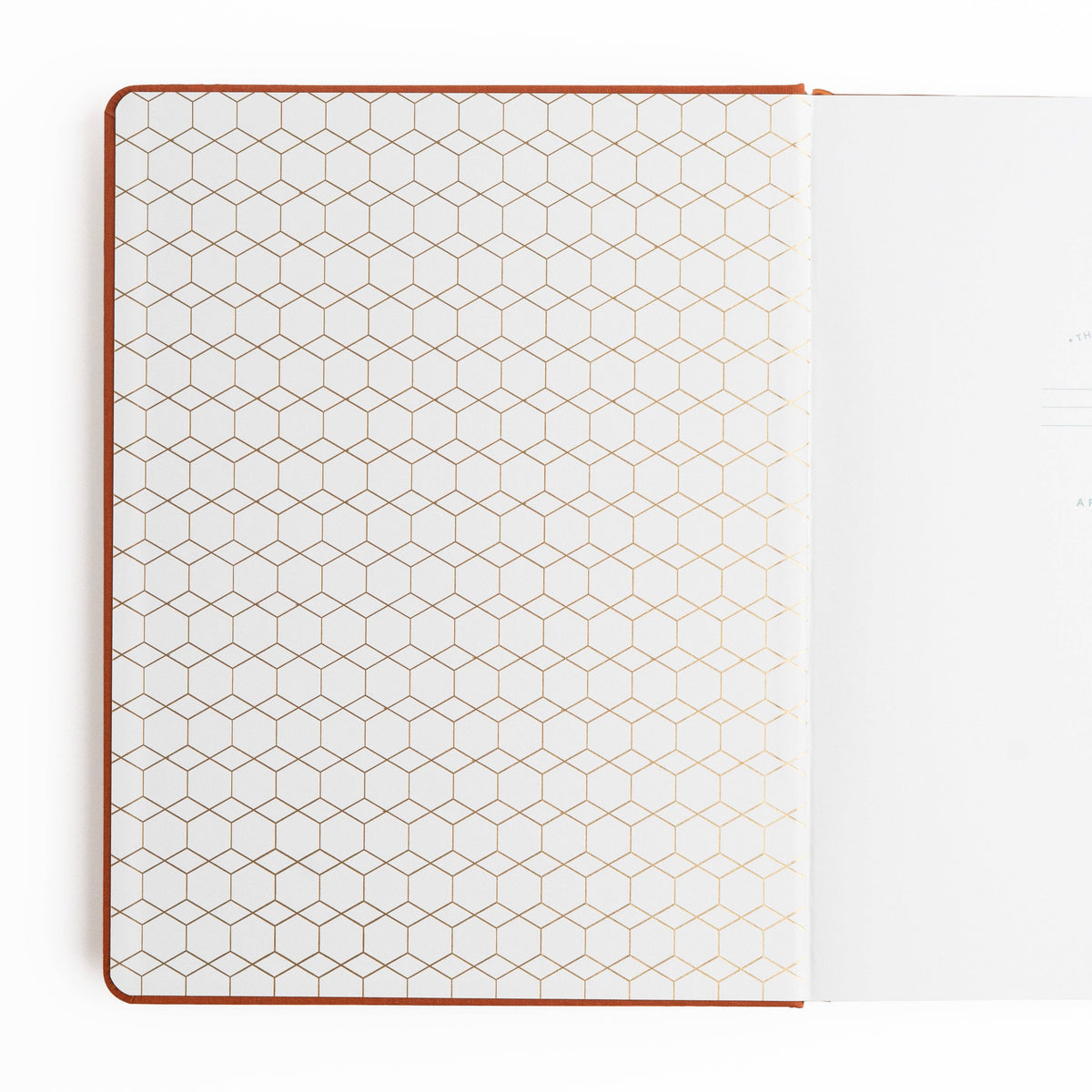 Notebook; Keeper of Bees in Rust Letter Size Dot Grid | Archer and Olive