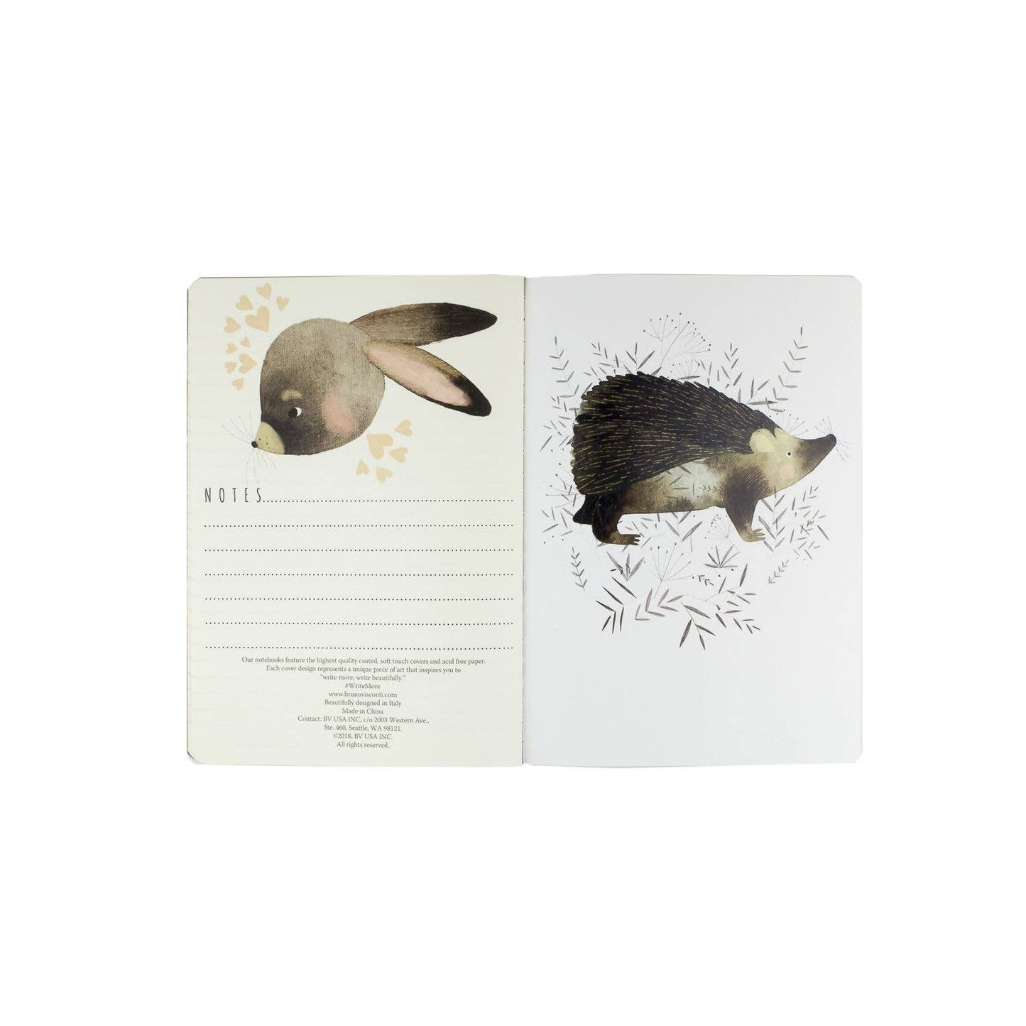 Notebook Collection; Fauna BV by Bruno Visconti