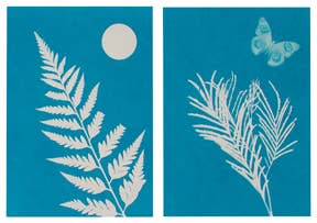 Solar Print Kit; Outdoor Discovery | Toysmith