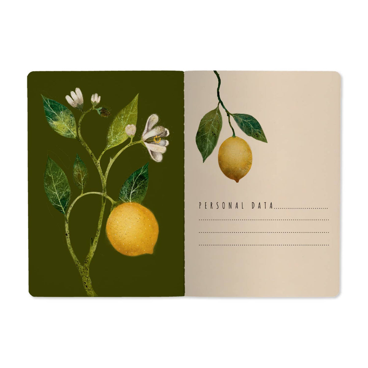 Notebook; Lemons (A5) | BV by Bruno Visconti