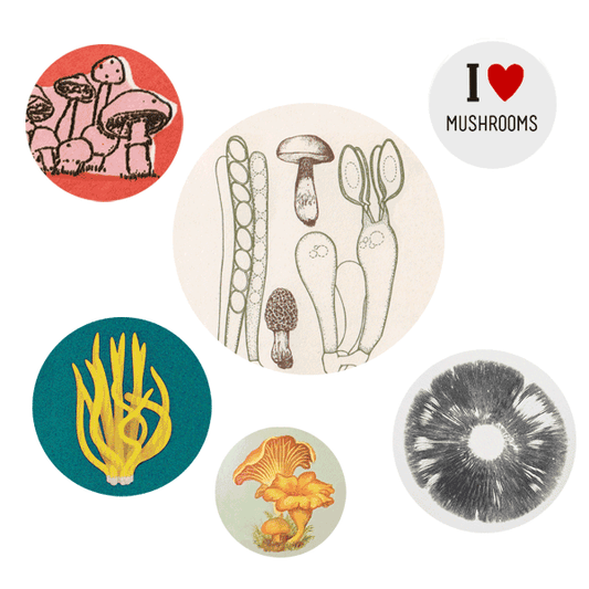 Pinback Button Pack; Mushrooms (Six Buttons)