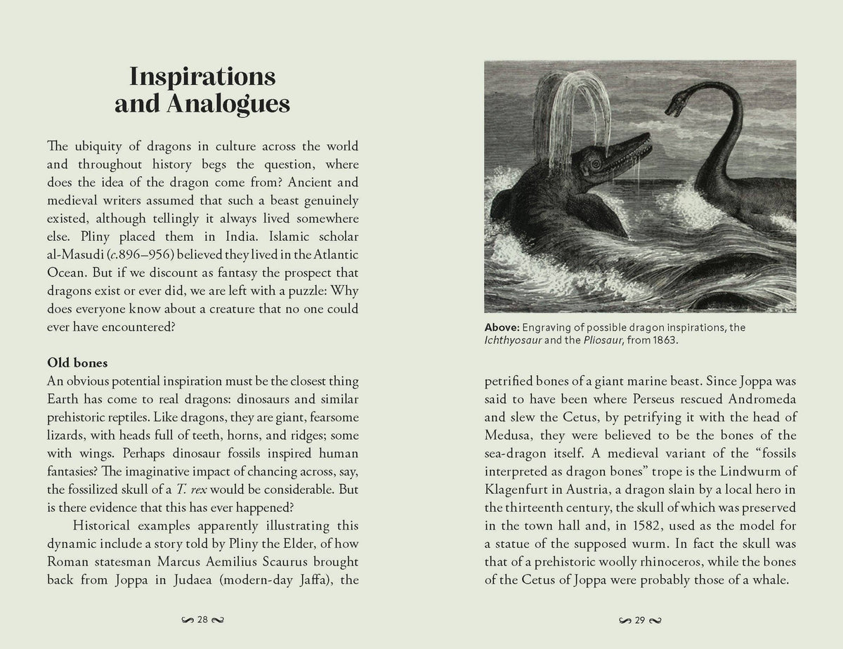 Book; Pocket Book of Dragons | Chronicle Books