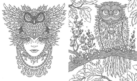 Mature Coloring Book; Spirit Animals