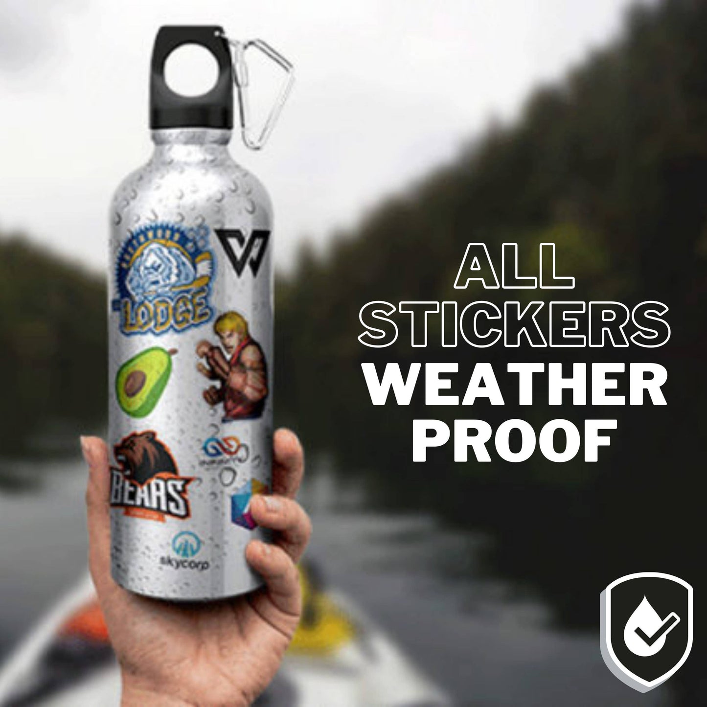 Vinyl Sticker; 5 Stars (Funny)