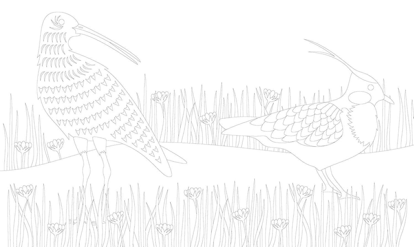 Coloring Book; The Mindful Year