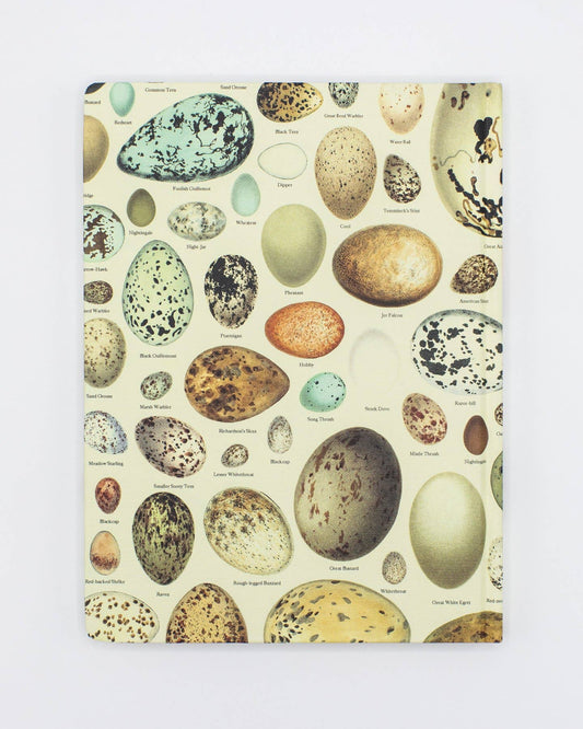 Notebook; Eggs (Dot Grid Page, Hardcover)