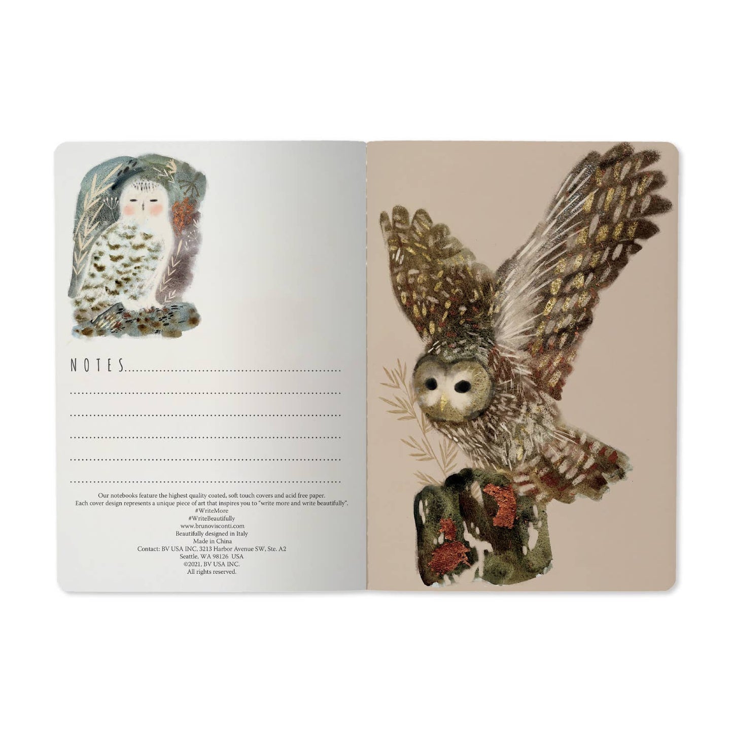 Notebook; Owls - BV by Bruno Visconti