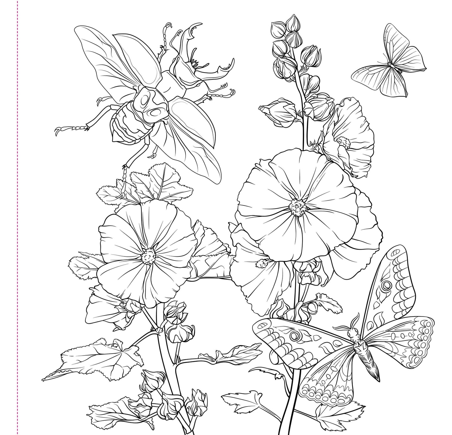 Adult Coloring Book; Goth Garden