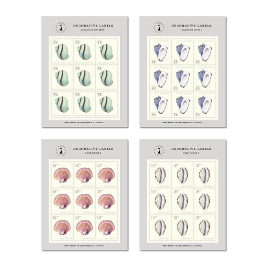 Decorative Label Set; Captiva Island Seashells by Felix Doolittle (36 Labels)