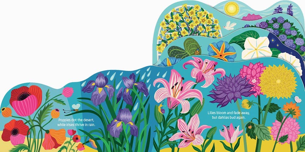 Board Book; Grow Your Own Way (Flower Board Book, Layered View)