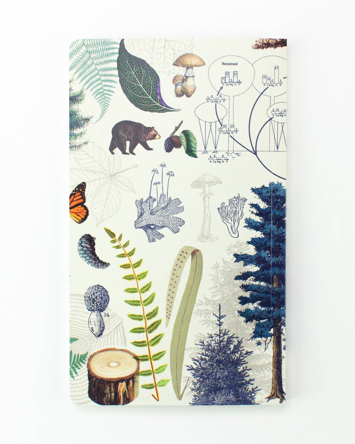 Yearly Planner; Woodland Forest (Un-Dated)