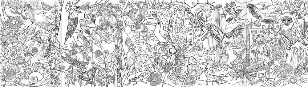 Eeboo Biggie Pencils with Fold-Out Mini Mural; Birds & Butterflies