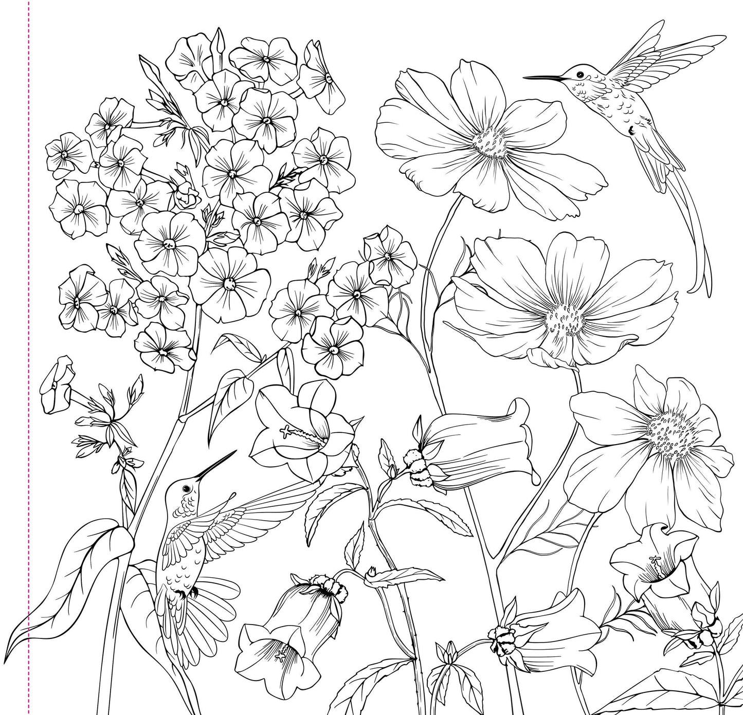 Adult Coloring Book; Wildflowers