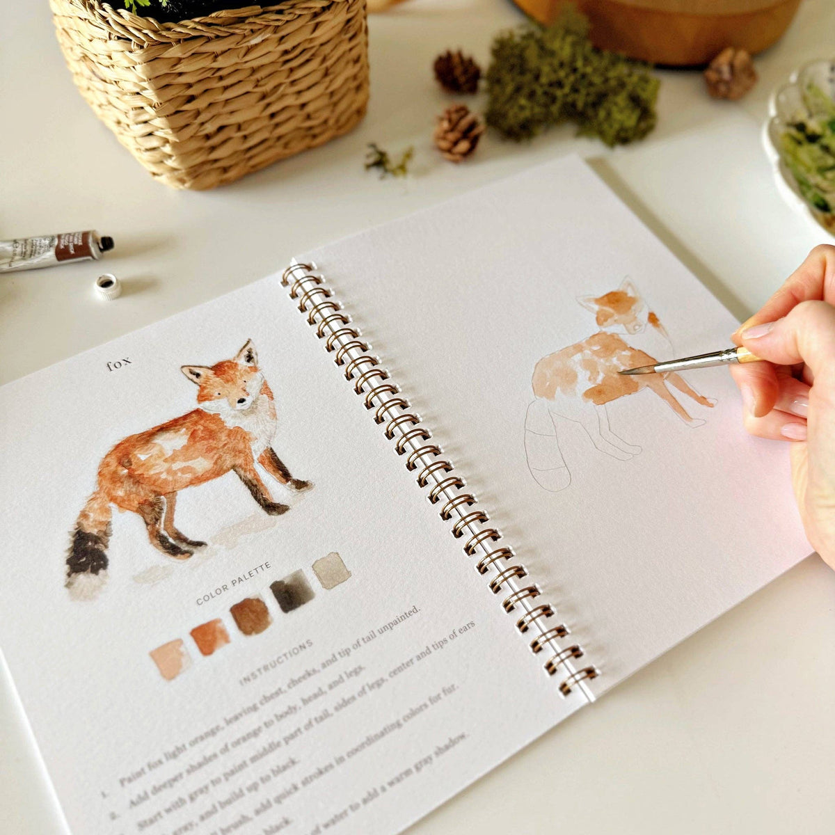Angled view of Woodland Watercolor Workbook open to fox page, hand painting orange and brown watercolor onto a fox sketch, with pinecones and moss in background