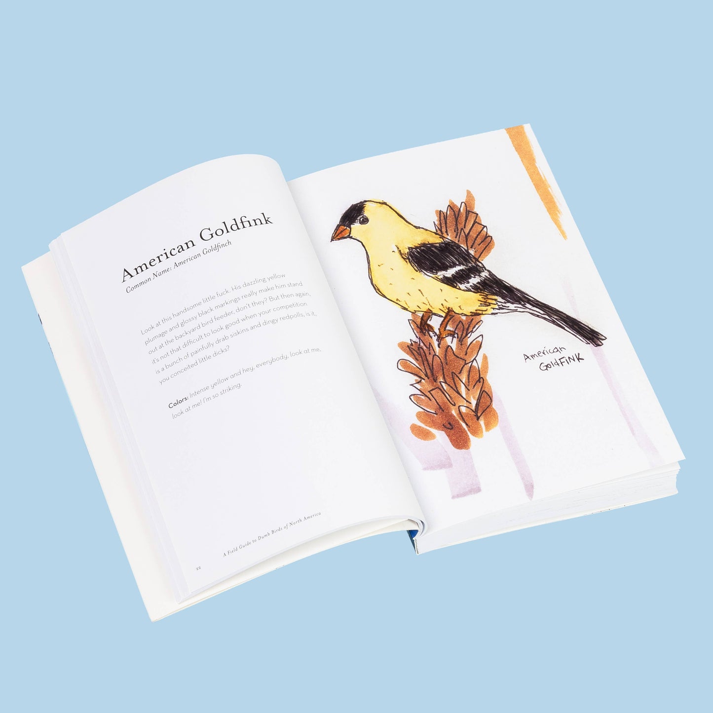 Book; The Field Guide to Dumb Birds of America