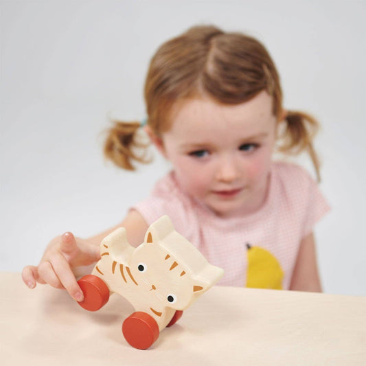 Wooden Roller Toy; Kitten on Wheels