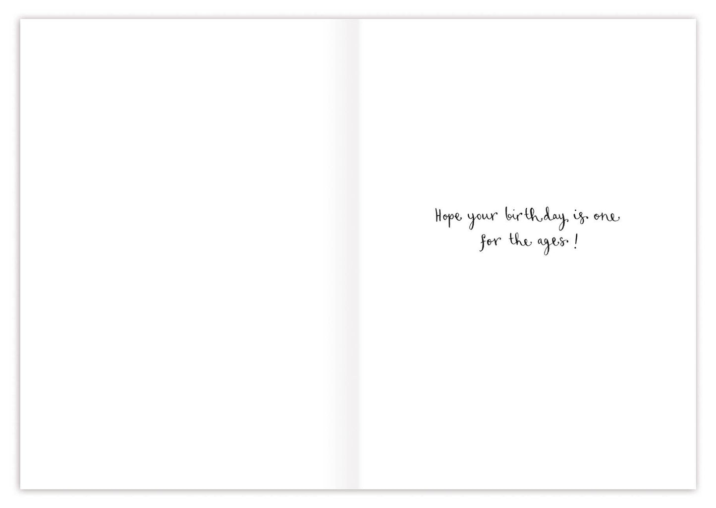 Birthday Card; Tortoise