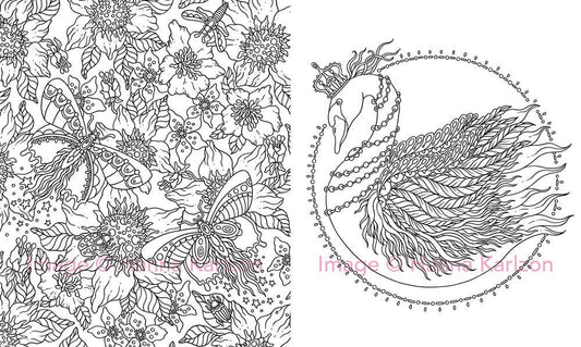 Coloring Book; Magical Dawn