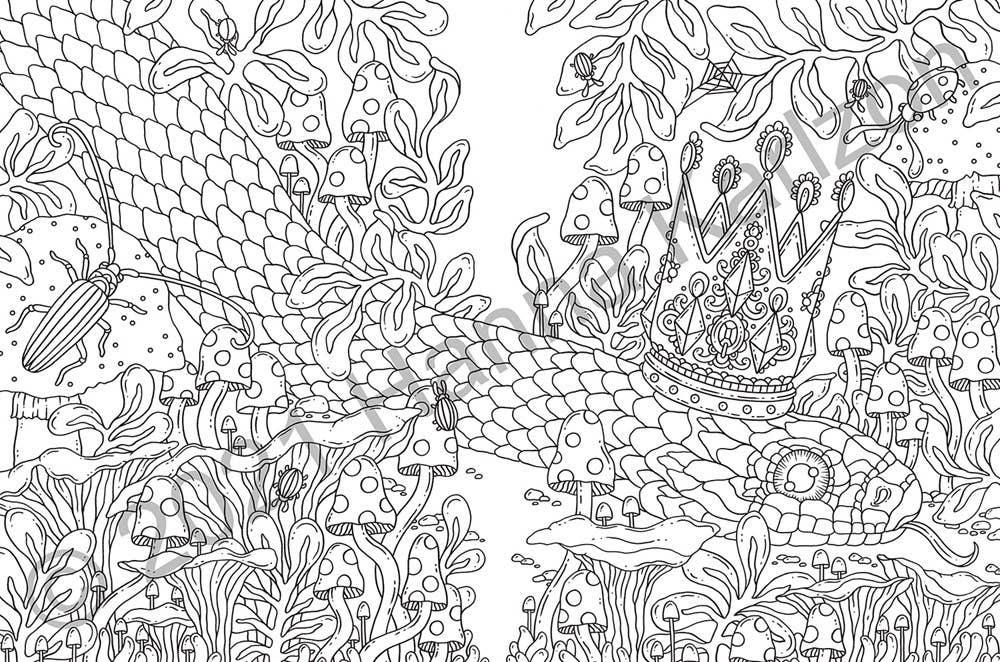 Coloring Book; Tales from the Forest Kingdom