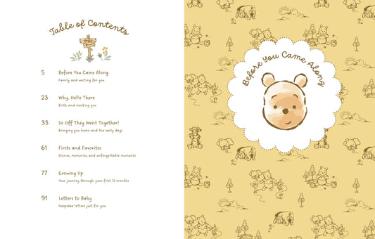 Baby Book; Disney Winnie the Pooh