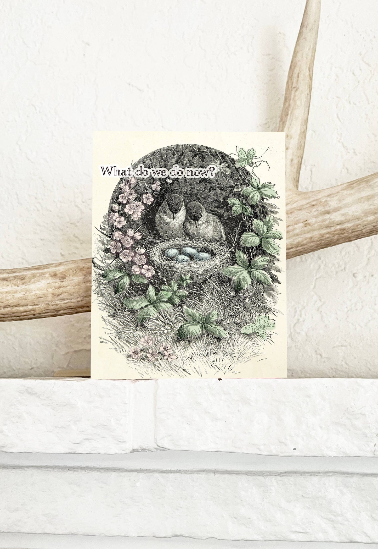 Parent Card; What Do We Do Now (Funny Birds with Nest, New Parent Card)