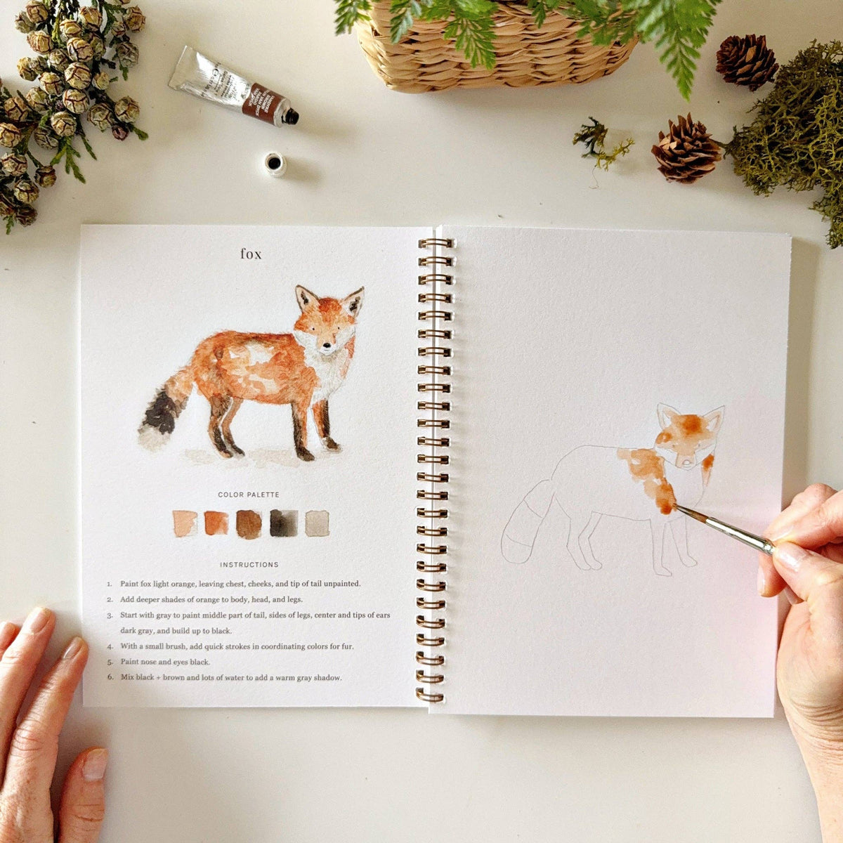 Open spread of Woodland Watercolor Workbook showing fox illustration with color palette and step-by-step instructions on left, hand painting an orange fox on the sketch page on right, surrounded by pinecones and greenery