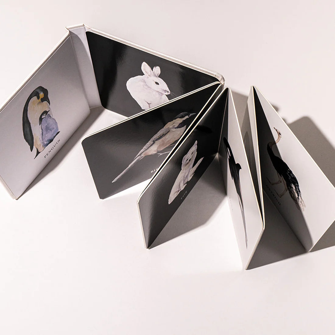 Baby Book; Baby's Black and White Contrast Book (High-Contrast Art for Visual Stimulation at Tummy Time)