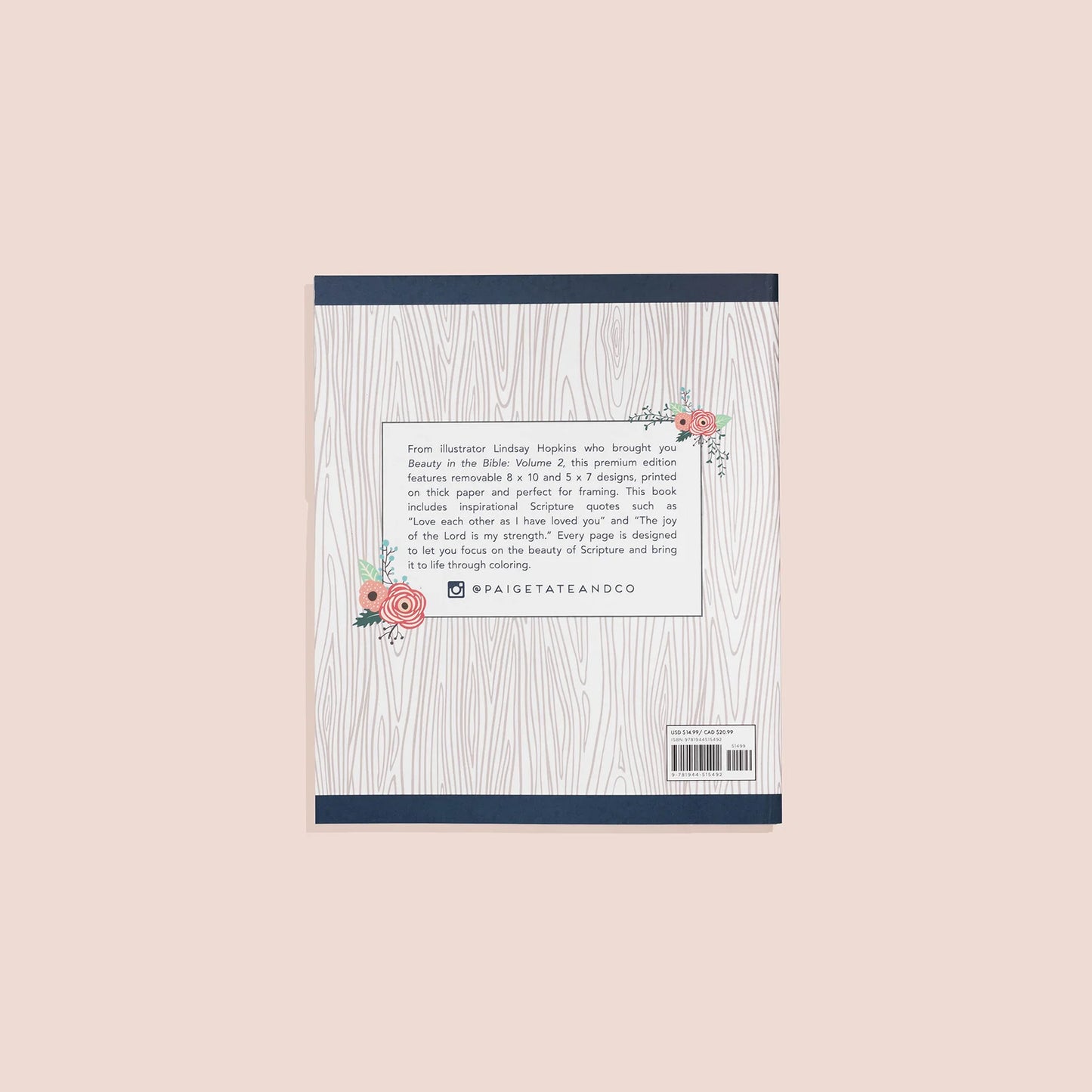 Coloring Book; Beauty in The Bible 3 (Christian Coloring Book)