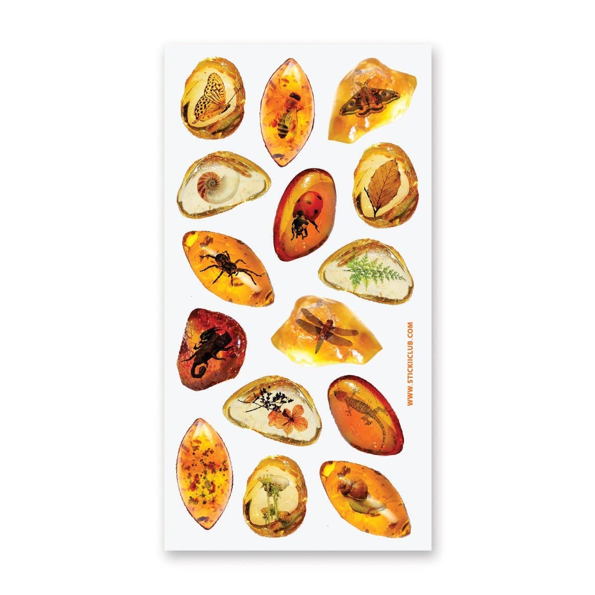 Sticker Sheet; Amber Fossils
