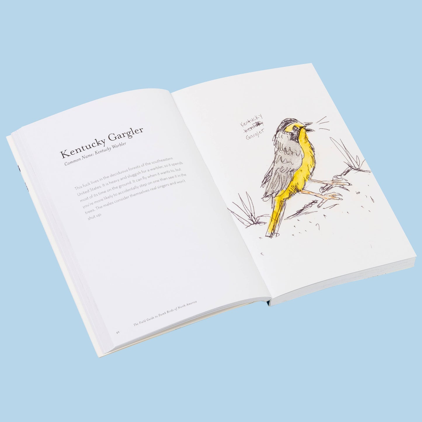 Book; The Field Guide to Dumb Birds of America