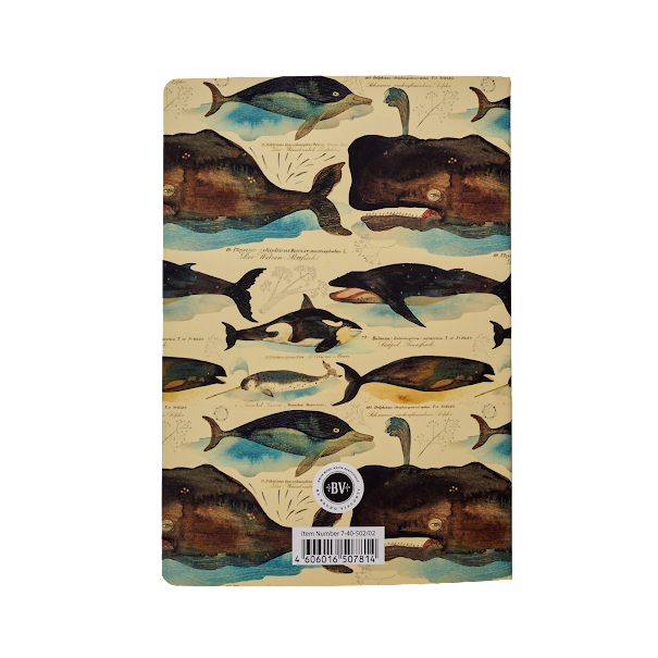 Notebook Collection; Fauna BV by Bruno Visconti
