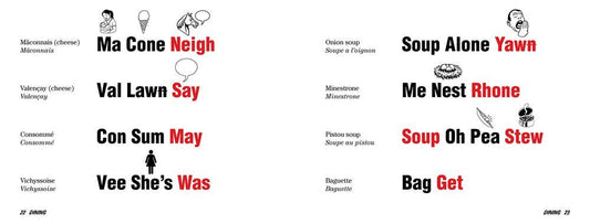 More French Slanguage: A fun visual guide to French terms