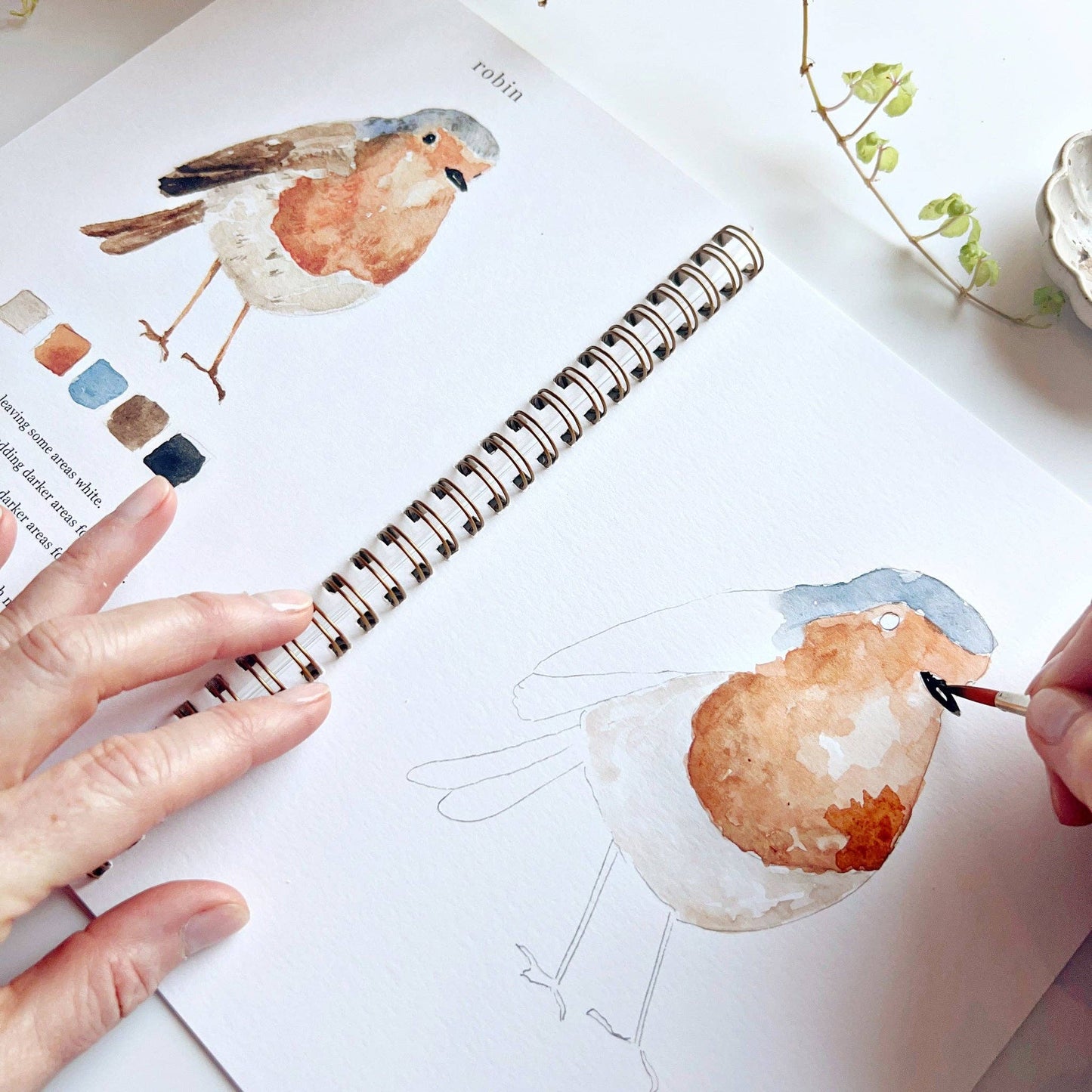 Watercolor Workbook; Birds By Emily Lex Studio