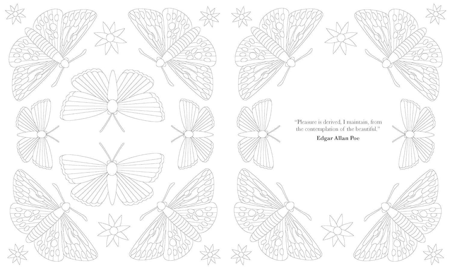 Coloring Book; The Mindful Year