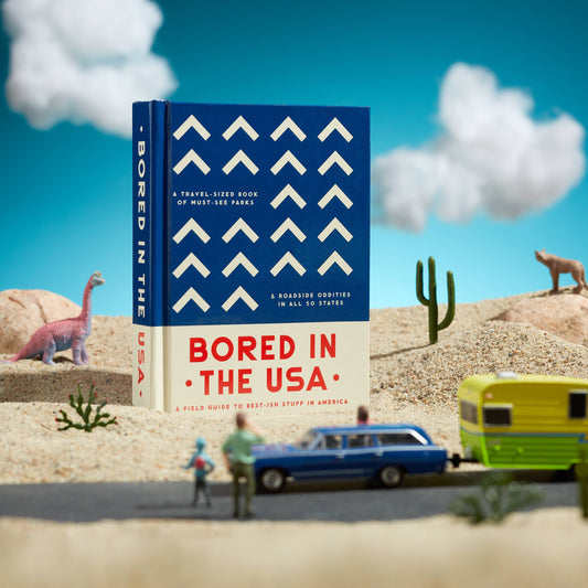 Travel Guide Book; Bored In The USA By Brass Monkey