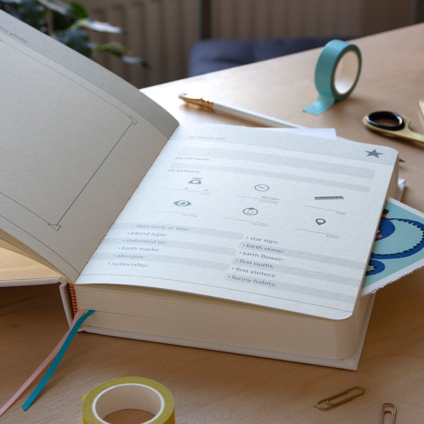 Keepsake Journal; My Baby Book (Hardcover)