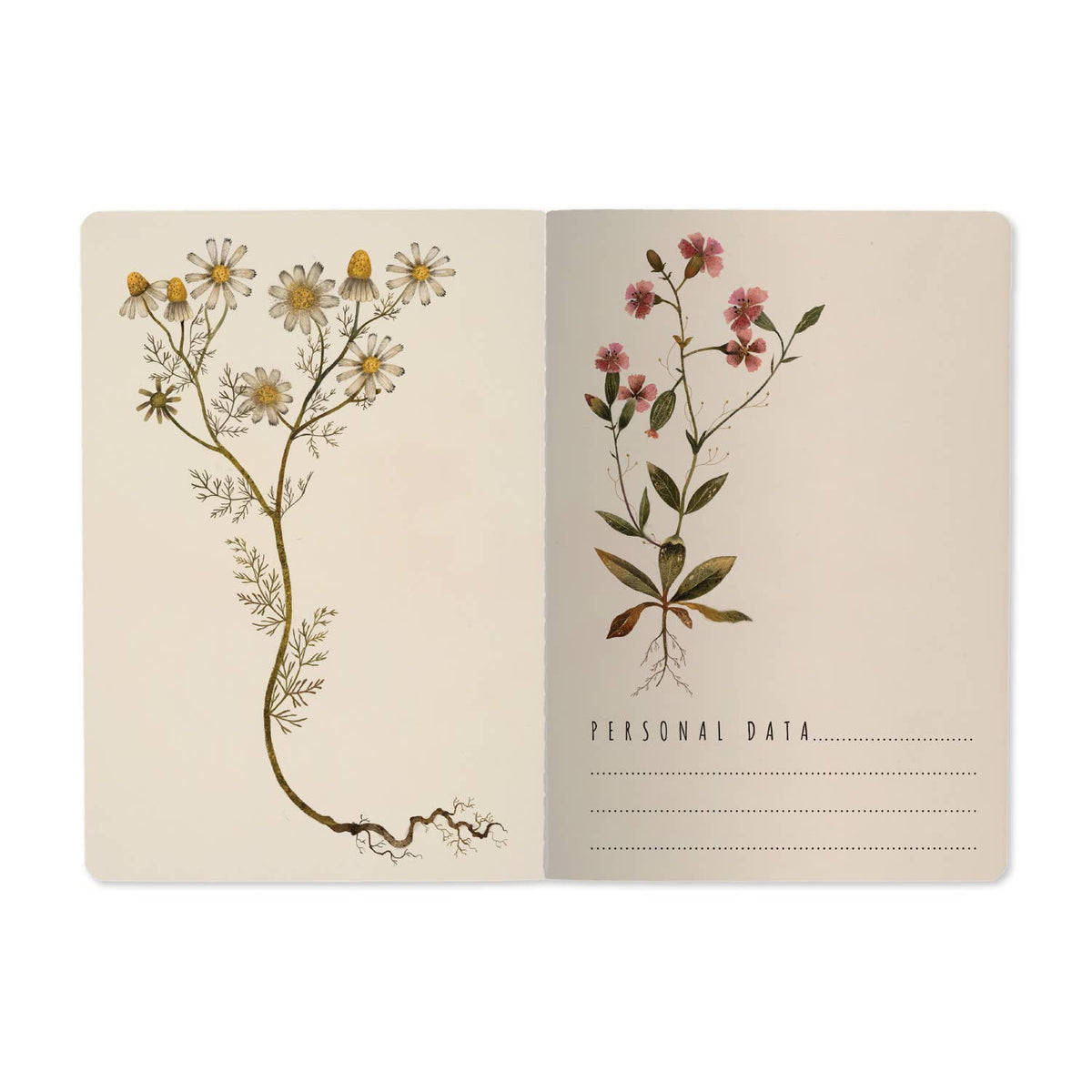 Notebook; Violets and Greens (A5) | BV by Bruno Visconti