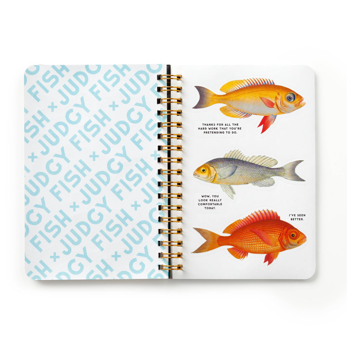 Sticker Book; Judgy Fish | Brass Monkey