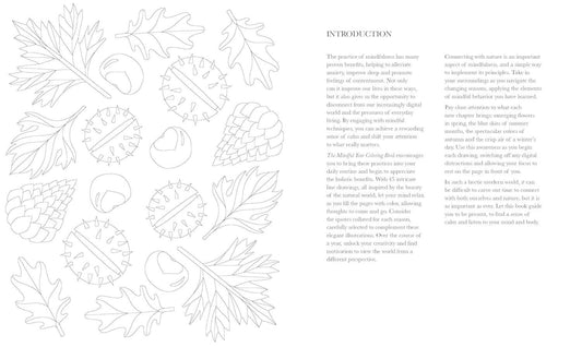 Coloring Book; The Mindful Year